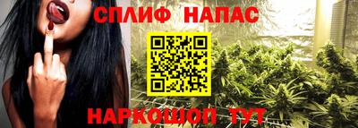 гашик Тула