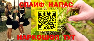 гашик Тула