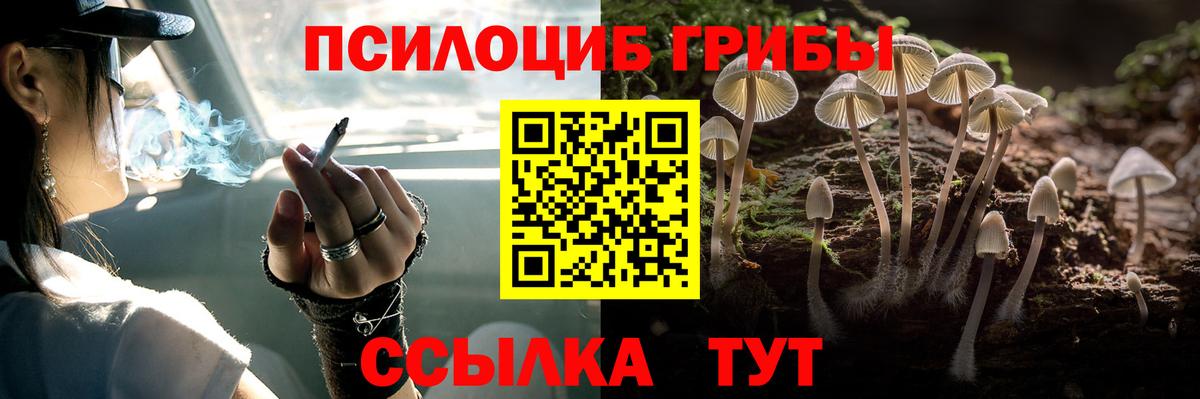 Псилоцибиновые грибы ЛСД Озёрск