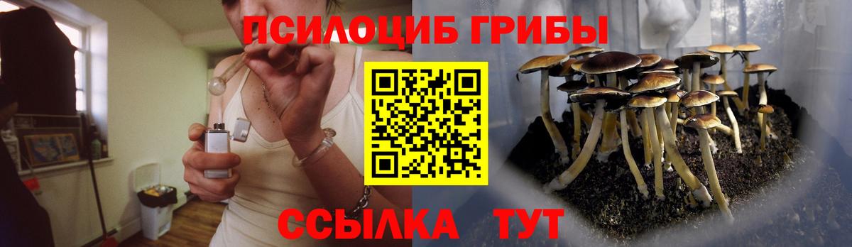 Озёрск  Галлюциногенные грибы ЛСД  Вход с VPN 